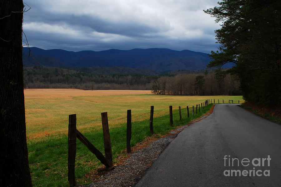 Cades Cove View of Smokies Photograph by Nancy Mueller