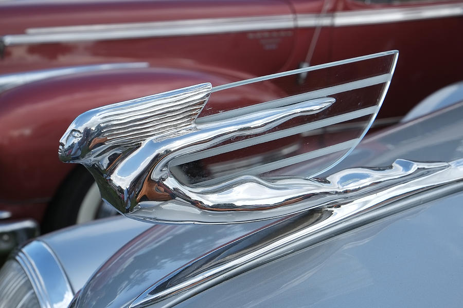 Cadillac Hood Emblem Photograph by Adrian Beese - Fine Art America