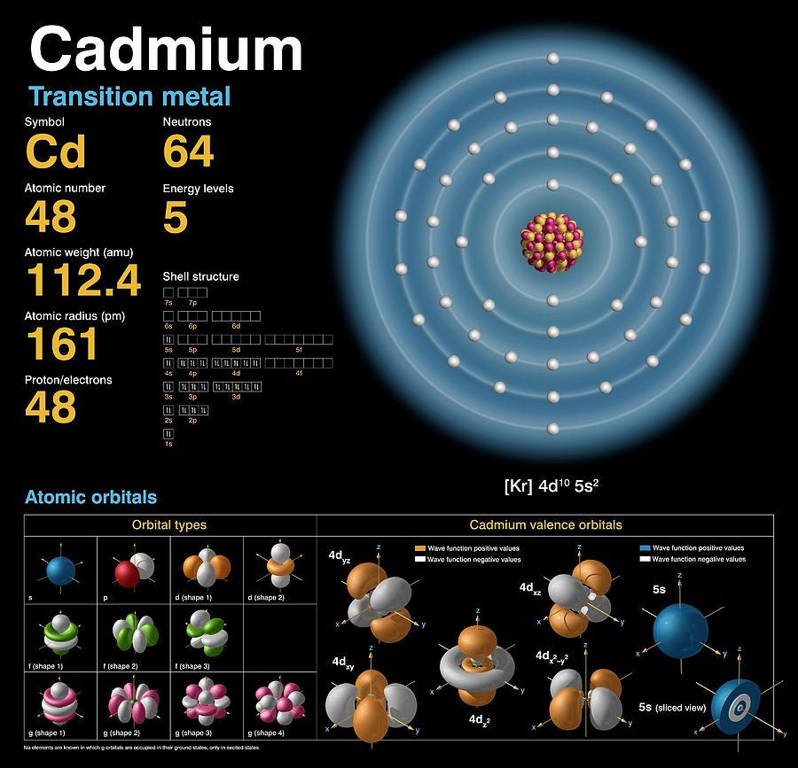 Cadmium Photograph by Carlos Clarivan