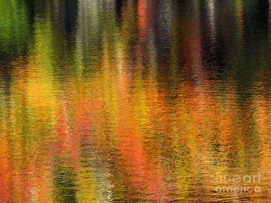 Cady Pond Abstract Photograph by Lili Feinstein