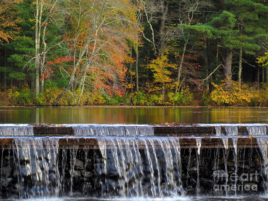 Cady Pond in Autumn Photograph by Lili Feinstein