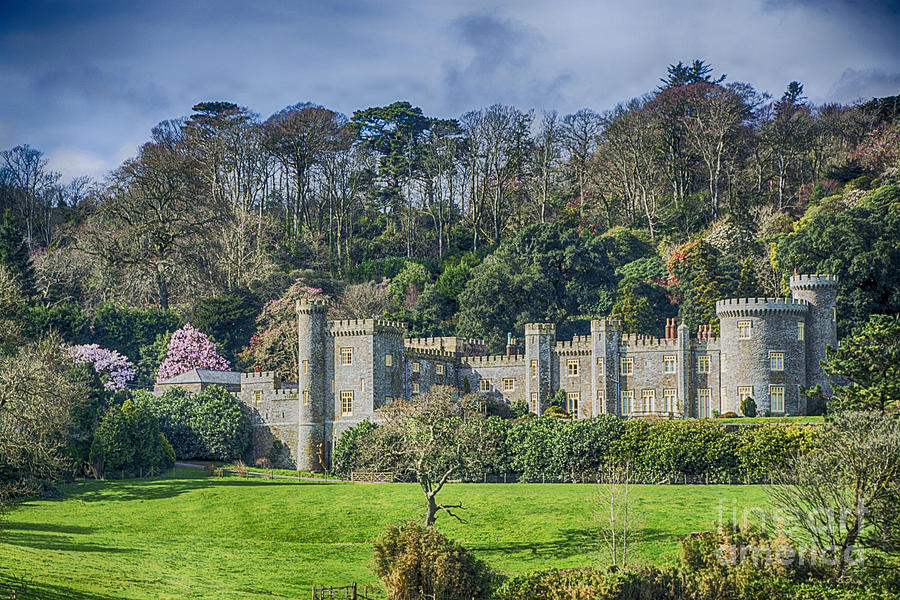 Caerhays Castle Photograph