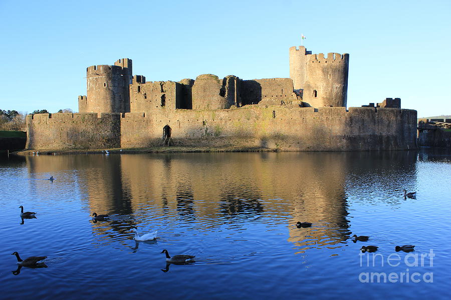 Caerphilly Castle Photograph by Vicki Spindler