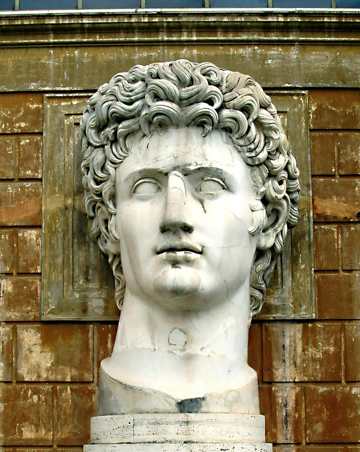 Caesar Augustus Photograph by Ellen Henneke