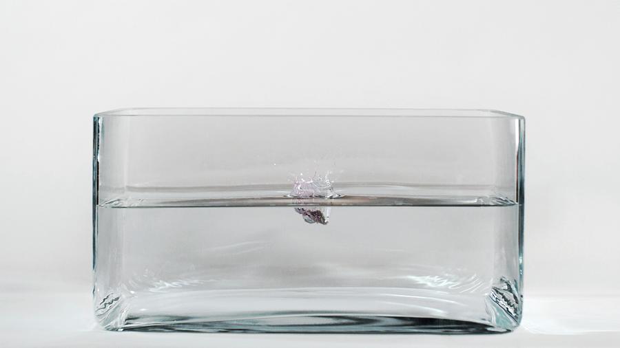 Caesium Reacting With Water (1 Of 5) Photograph by Science Photo Library