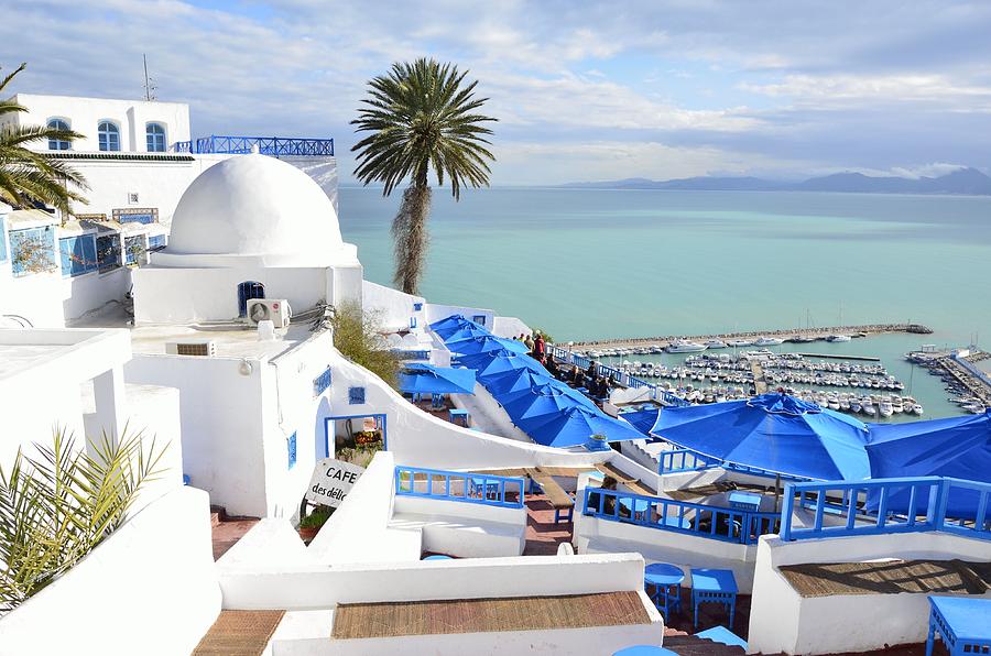 Cafe Des Delices In Sidi Bou Said Photograph by Yinguo Huang