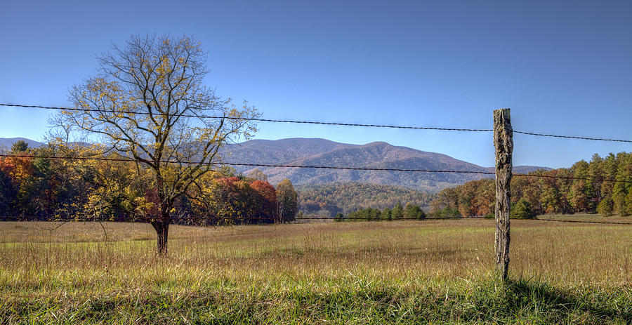 Cades Cove Meadow Photograph by Stephen Gray - Pixels