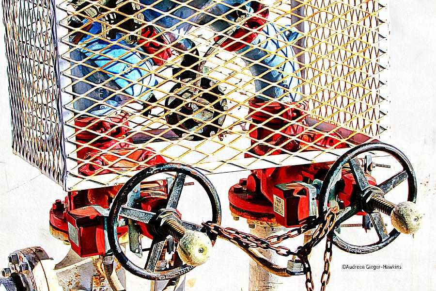 Caged Photograph - Caged Industrial Valves by Audreen Gieger