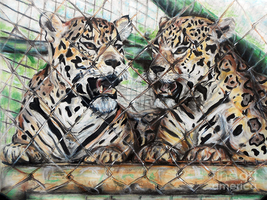 Leopard Pastel - Caged by Melanie Alcantara Correia