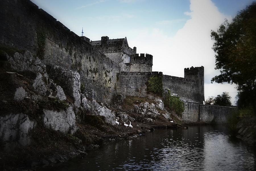 Cahir Castle From the River Suir Photograph by Nadalyn Larsen
