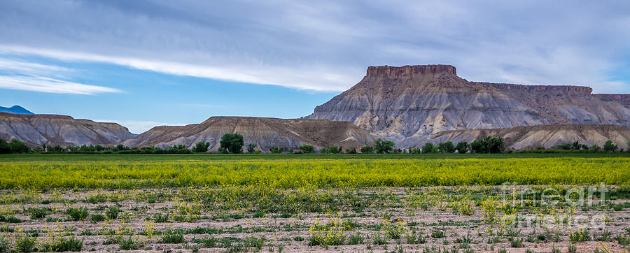 Caineville Butte Spring - Utah Photograph by Gary Whitton
