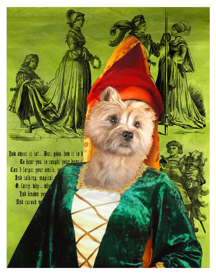 Cairn Terrier Art Canvas Print - Middle Age Lady Painting by Sandra Sij