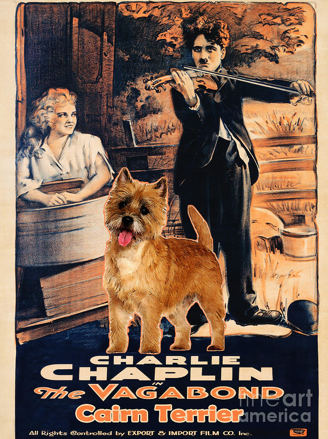 Cairn Terrier Art Canvas Print - The Vagabond Movie Poster Painting by Sandra Sij