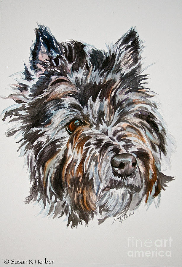 Cairn Terrier Martha Painting by Susan Herber