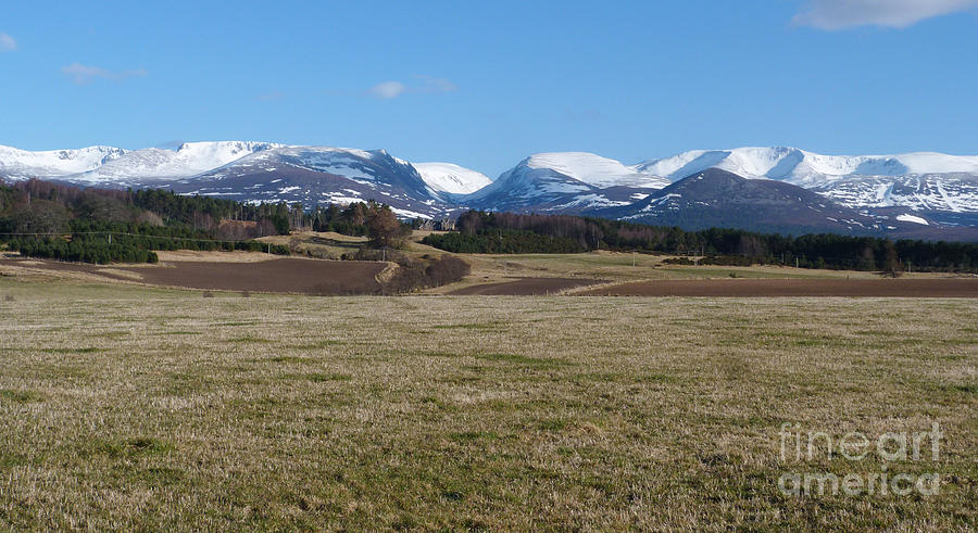 Cairngorm Mountains in Spring Photograph by Phil Banks