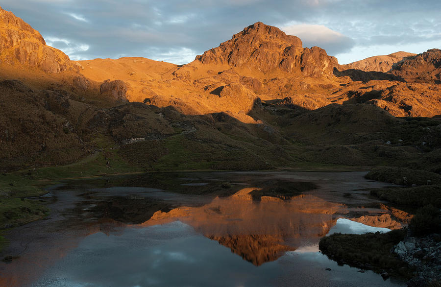 Andes Photograph - Cajas National Park (3000-4,400m by Pete Oxford Andes Photograph - Cajas National Park (3000-4,400m by Pete Oxford