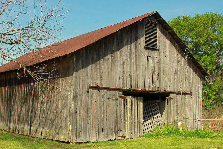 Cajun Cypress Barn Photograph By Ronald Olivier - Pixels