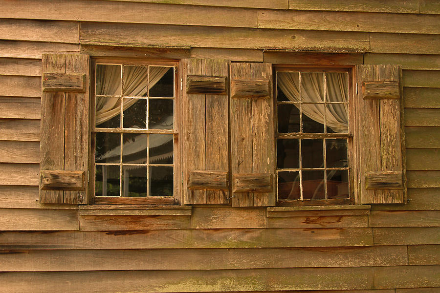 Cajun Cypress Double Window Photograph by Ronald Olivier - Fine Art America