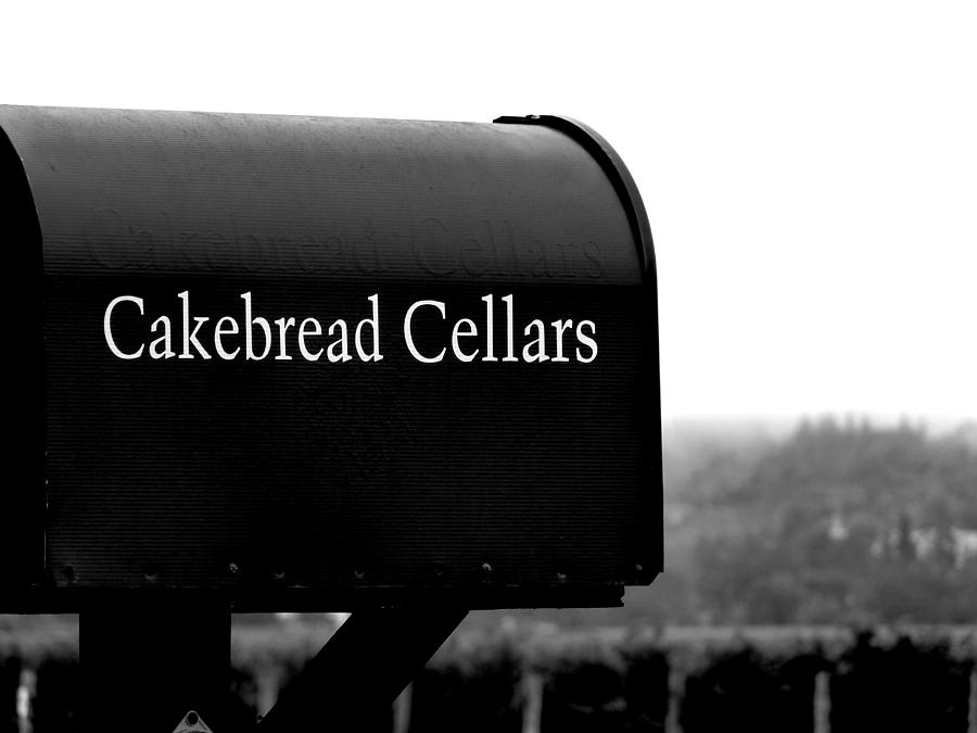 Cakebread Cellars Photograph by Jeff Lowe