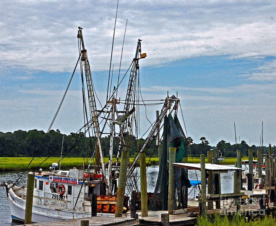 Calabash Fishing Fleet Photograph by Lydia Holly