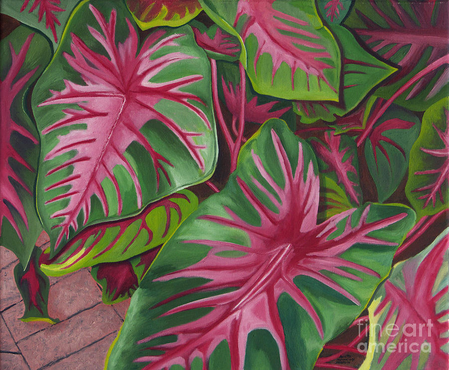 Caladiums Painting by Annette M Stevenson