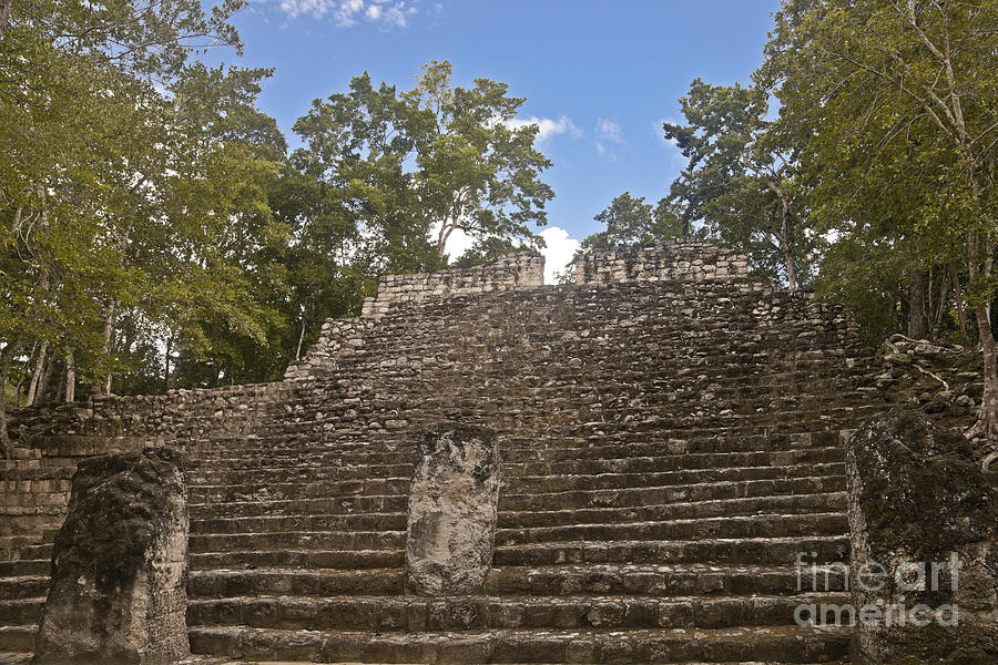 Calakmul Ruins Photograph by Ellen Thane
