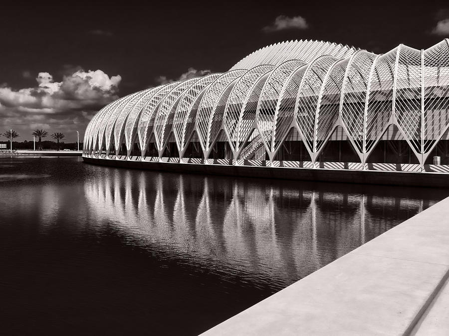 Calatrava 7 Photograph by Gordon Engebretson