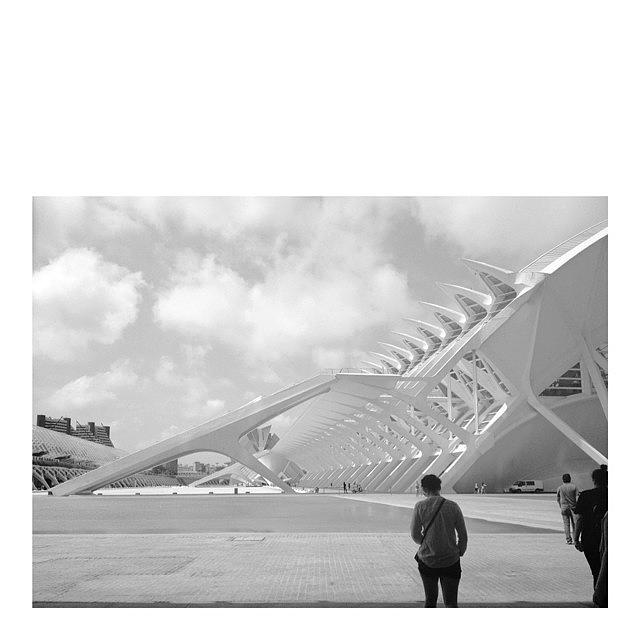 Valencia Photograph - #calatrava #valencia #spain by Angelica Chico
