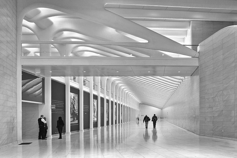 Calatrava Walk No 1 Photograph by Cornelis Verwaal