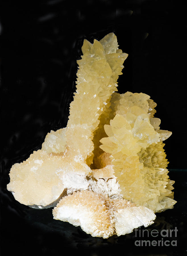 Nature Photograph - Calcite Crystals On Limestone by Millard H. Sharp