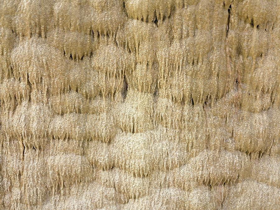 Calcium Carbonate Photograph - Calcium Carbonate Curtain Formation by Daniel Sambraus