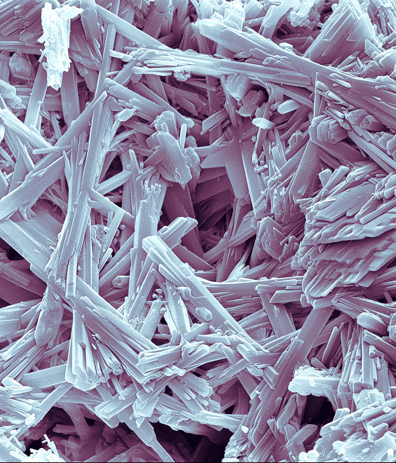 Calcium Sulphate Photograph - Calcium Sulphate Crystals, Sem by Power And Syred