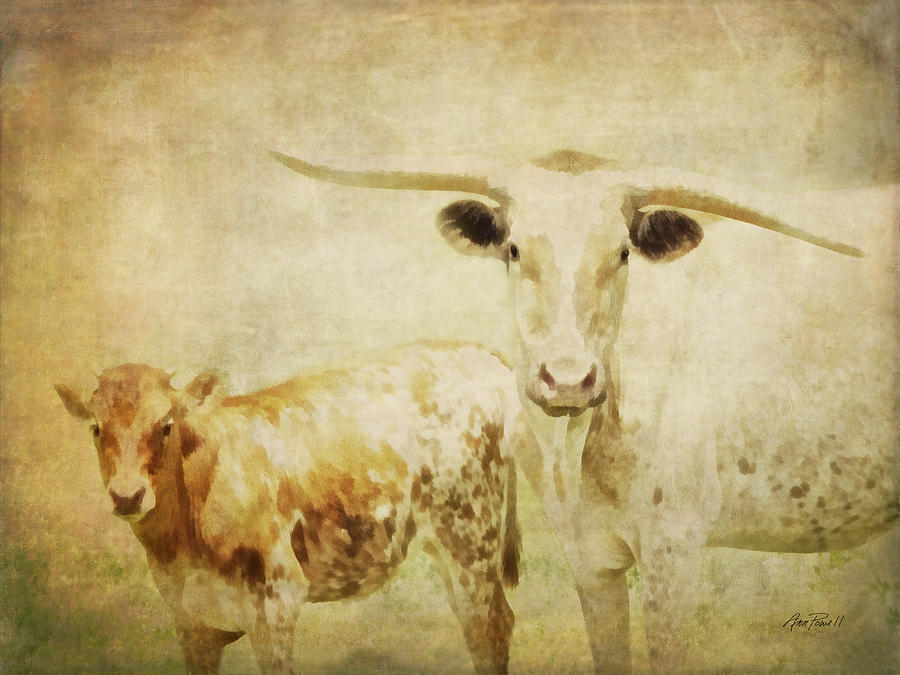 Calf and Cow vintage style  Photograph by Ann Powell