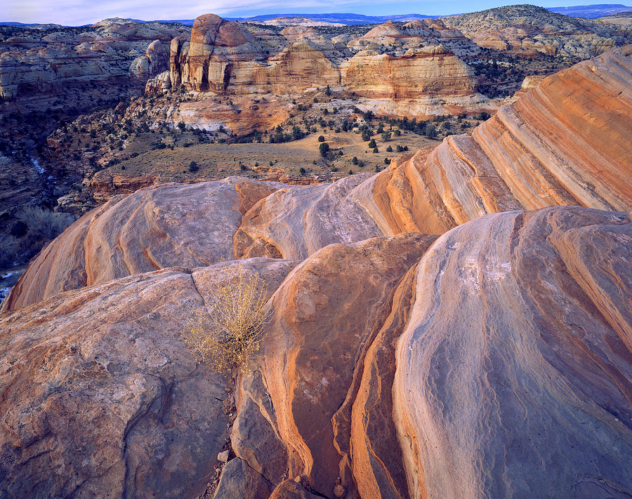 Calf Creek Color Photograph by Ray Mathis