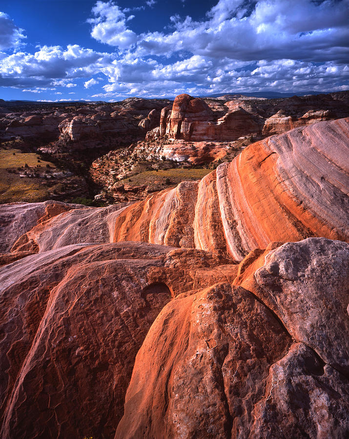 Calf Creek Sandstone Photograph by Ray Mathis