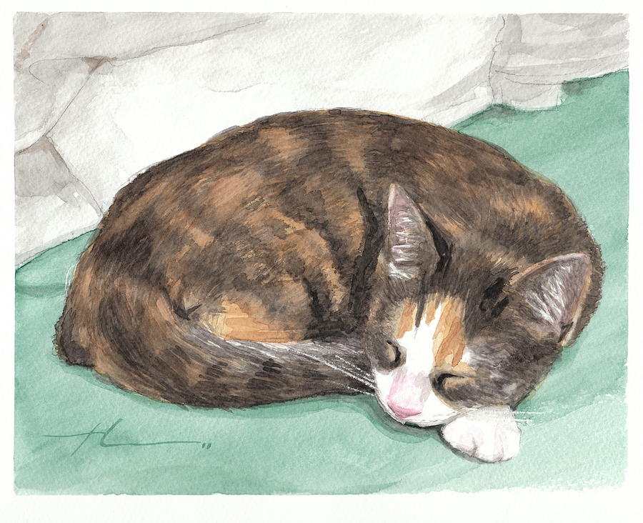 Calico Cat Sleeping Watercolor Portrait Drawing by Mike Theuer Pixels