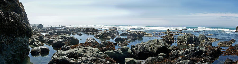 California Beach 1 Photograph by Harold Zimmer