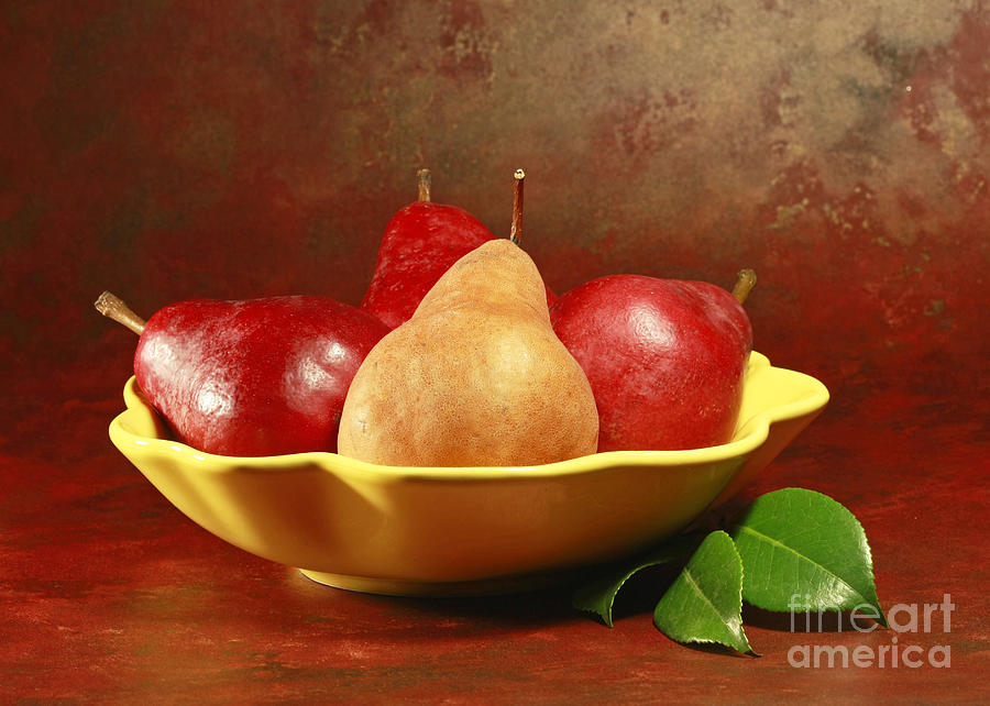 Pear Photograph - California Beurre Bosc Pears in Fruit Bowl by Inspired Nature Photography Fine Art Photography