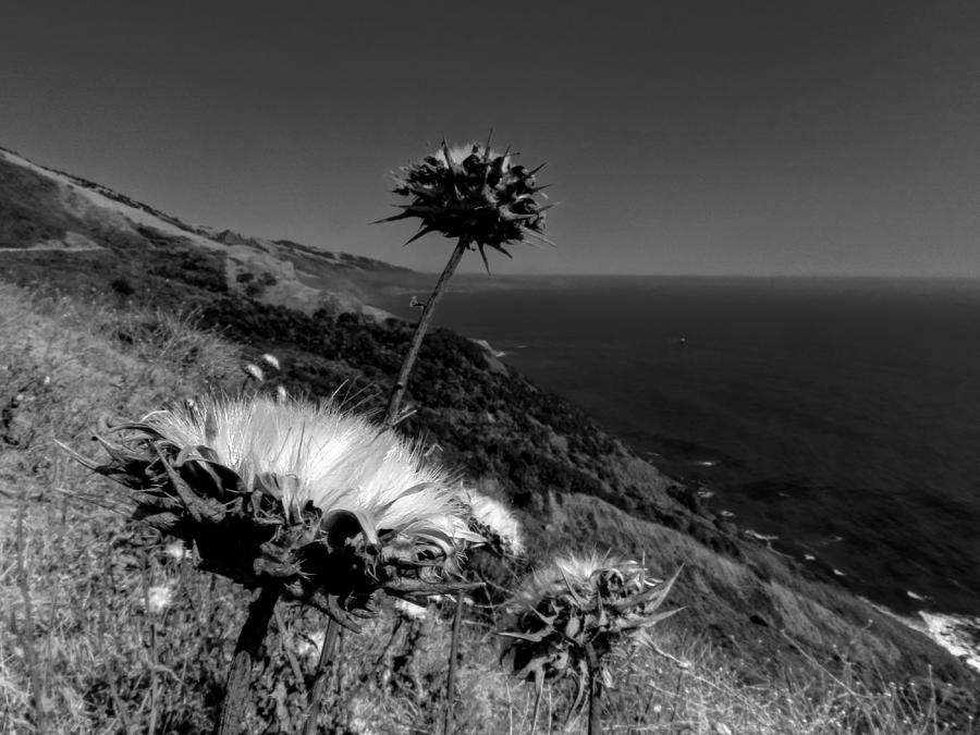 California - Big Sur 002 Photograph by Lance Vaughn