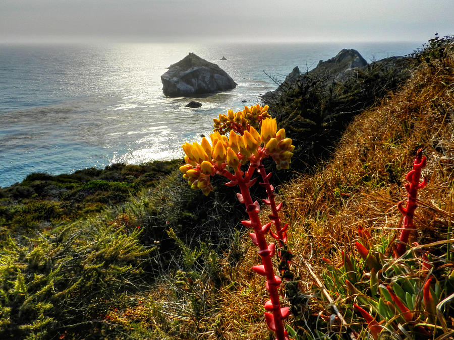 California - Big Sur 006 Photograph by Lance Vaughn