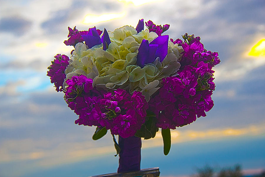 California Bouquet Photograph by Ryan Moyer