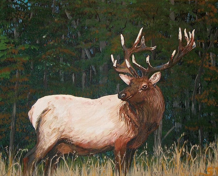California Bull Elk Painting by Sharon Duguay