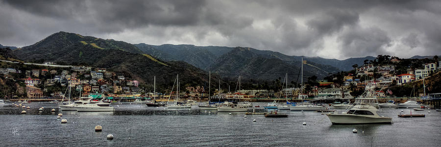 California - Catalina Island 009 Photograph by Lance Vaughn