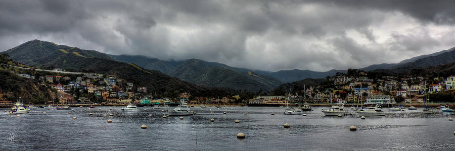 California - Catalina Island 010 Photograph by Lance Vaughn