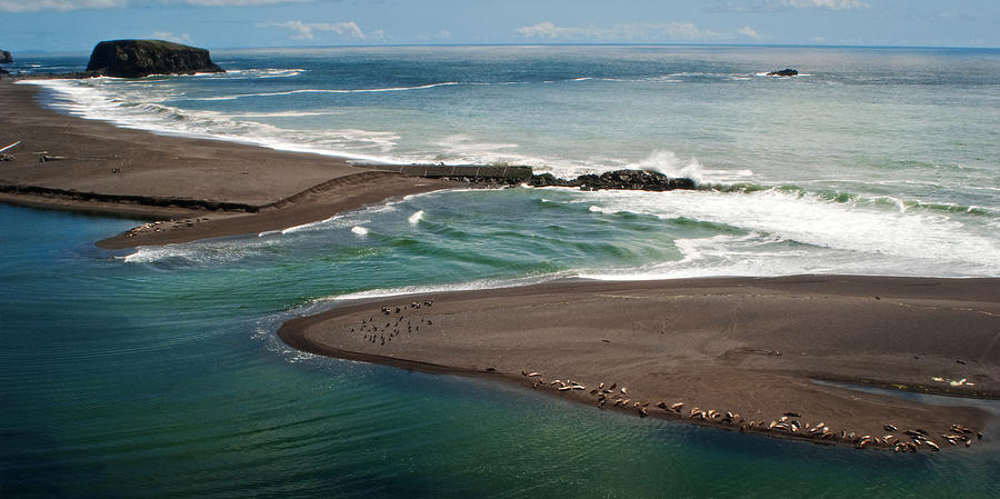 Beach Photograph - California Coast  Beach Seascape Panoramic by Julie Magers Soulen