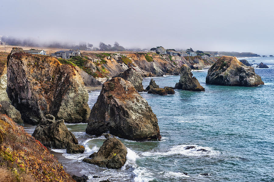 California Coast Photograph by Carl Cox