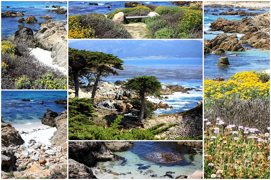 California Coast Collage Photograph by Carol Groenen