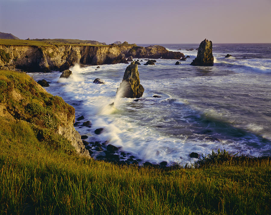 California Coastline  (P) Photograph by Ron_Thomas