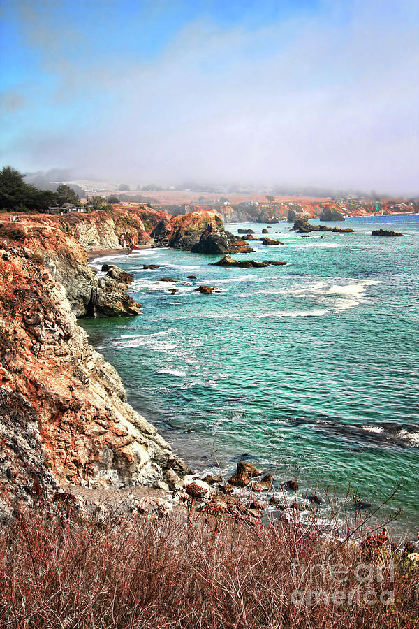 California coastline Photograph by Sylvia Cook