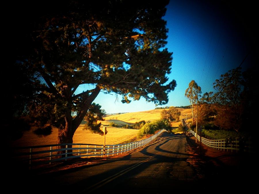 California Country Lane Photograph by Joyce Kimble Smith